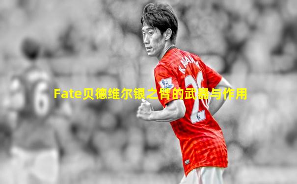 Fate贝德维尔银之臂的武器与作用
