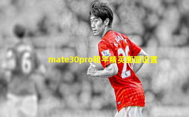mate30pro和平精英画面设置