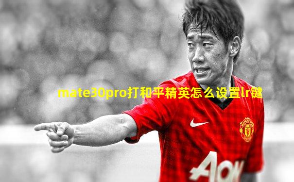 mate30pro打和平精英怎么设置lr键
