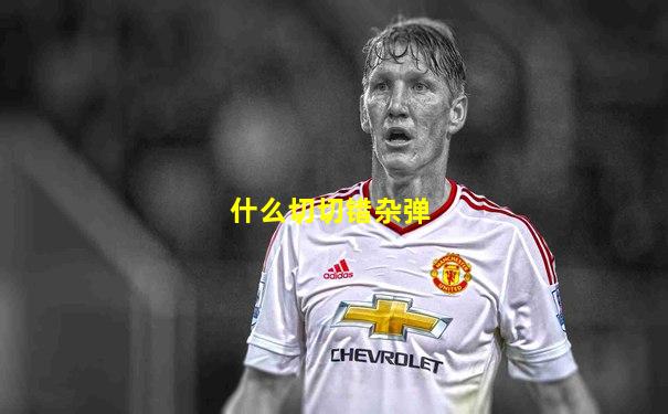 什么切切错杂弹