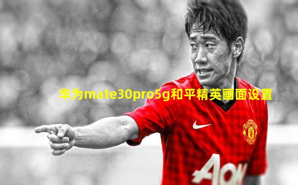 华为mate30pro5g和平精英画面设置