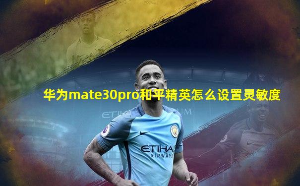 华为mate30pro和平精英怎么设置灵敏度