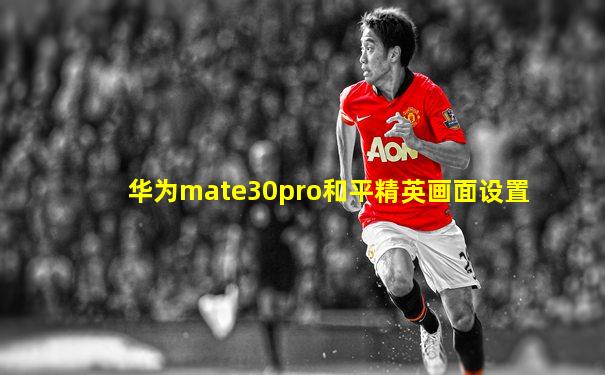 华为mate30pro和平精英画面设置