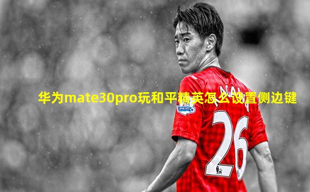华为mate30pro玩和平精英怎么设置侧边键