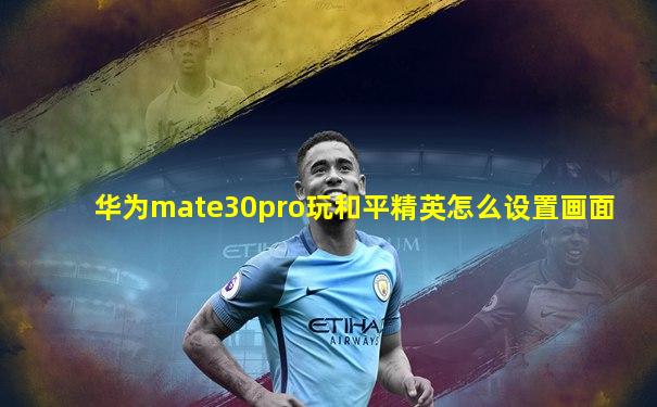 华为mate30pro玩和平精英怎么设置画面