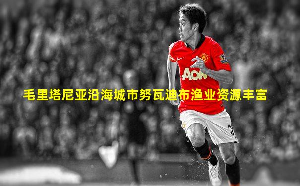 毛里塔尼亚沿海城市努瓦迪布渔业资源丰富