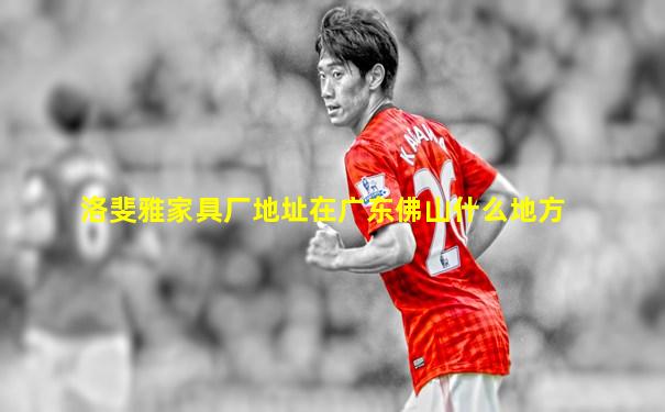 洛斐雅家具厂地址在广东佛山什么地方