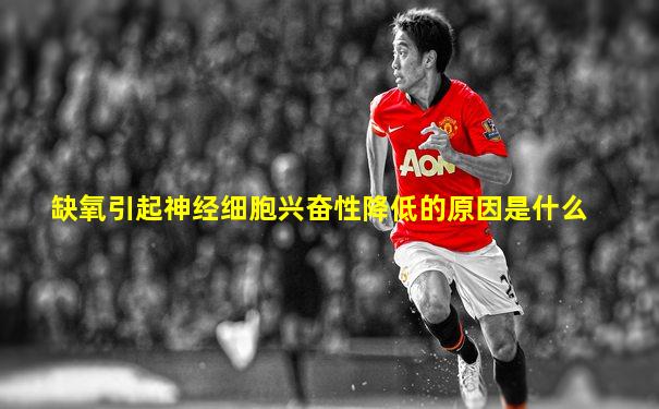 缺氧引起神经细胞兴奋性降低的原因是什么